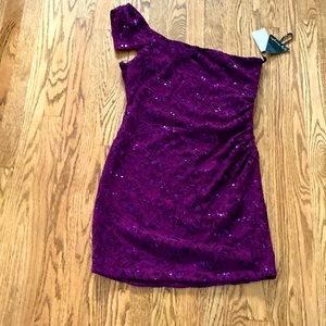 Slinky Purple Lace Sequin Mini Dress by City Triangles- New!